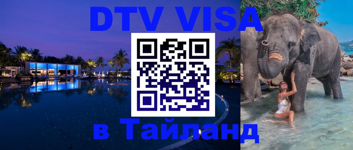 Сколько стоит DTV виза — актуальные цены, оформление даже без документов - Доха  20.11.2025 